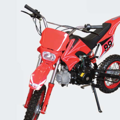 catalogo 11